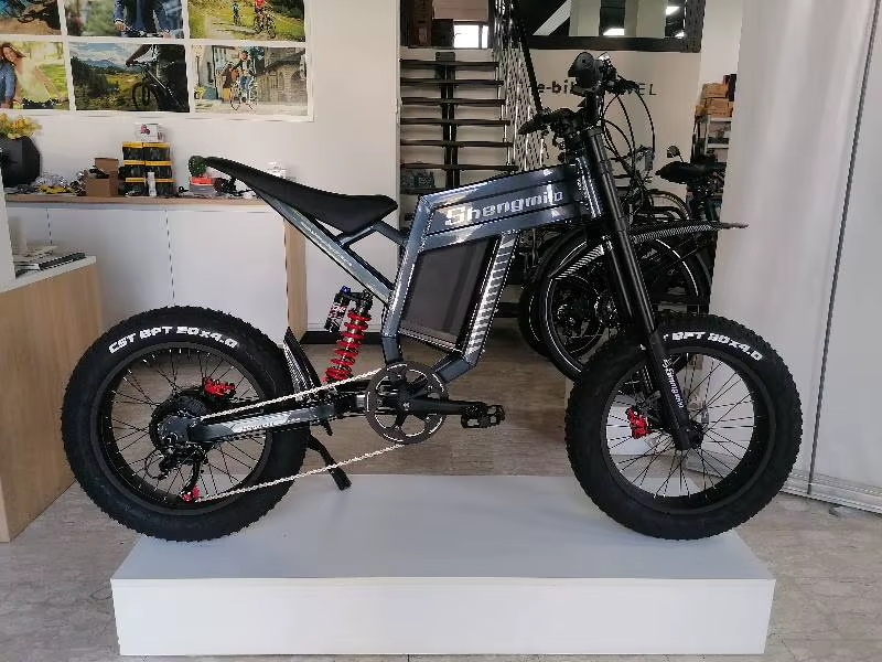 How Does an E-bike Pedal Assist System (PAS) Work? A