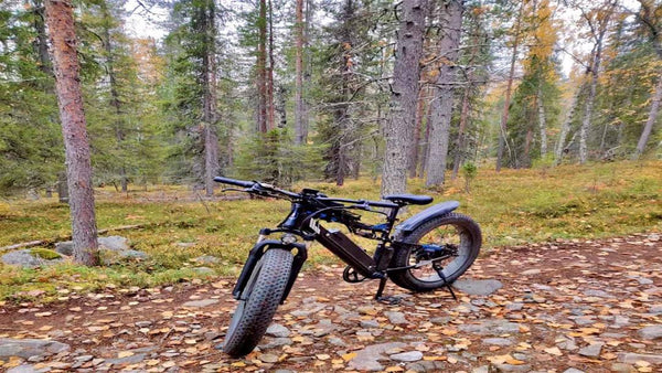 Why Should Seniors Need an All-terrain Electric Bicycle?