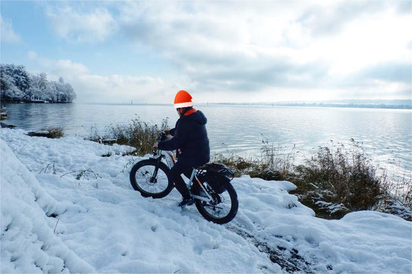 Riding into the Festive Season: Exploring Electric City Bikes and E-Mountain Bikes for Christmas