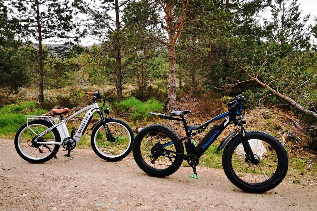 Bicicleta eléctrica de montaña