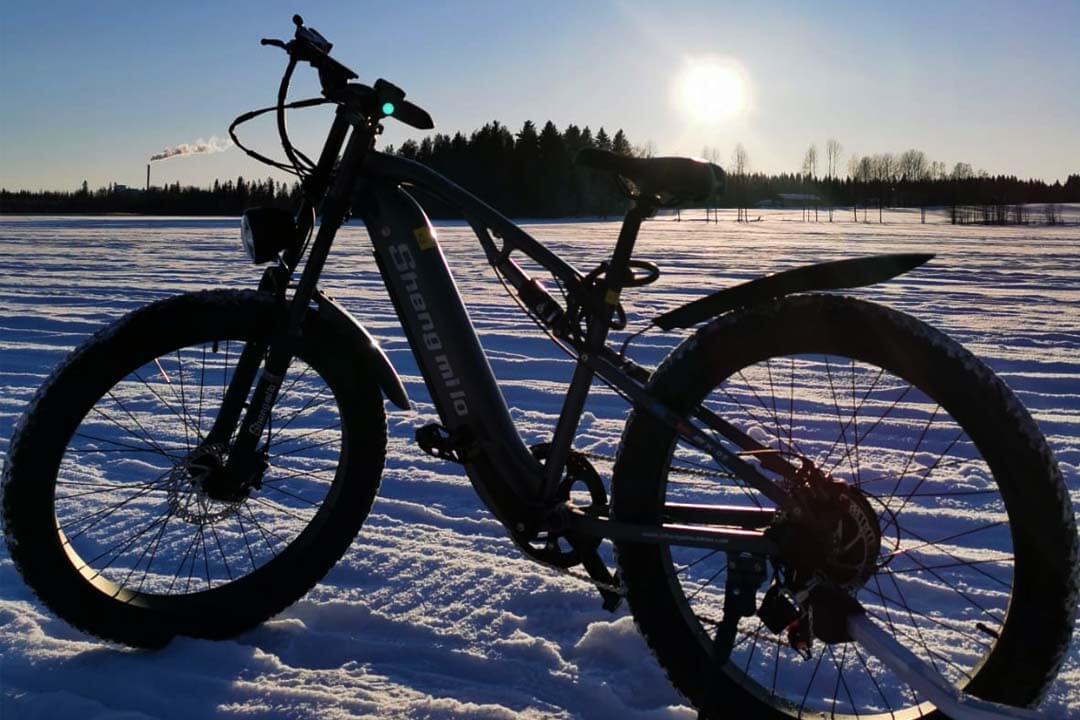 Bicicleta elétrica de montanha