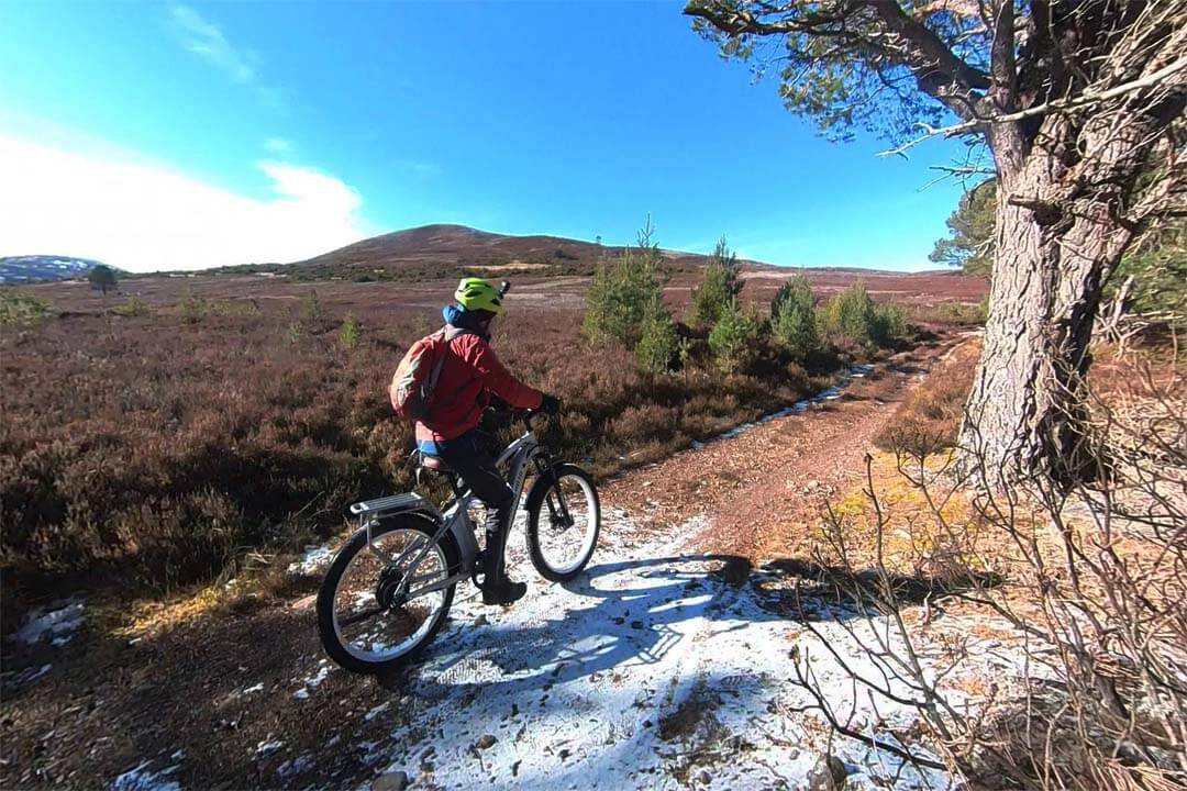 Jarné cyklistické trasy v Holandsku