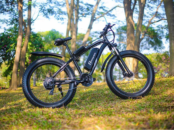 The Electric Bicycle Can Make Even the Longest Ride Easier