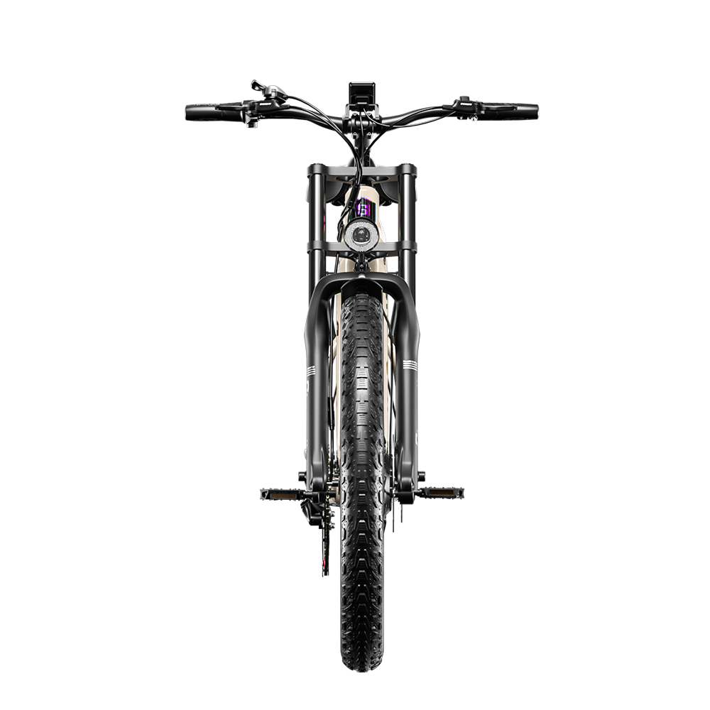 Shengmilo S700 Electric Bike