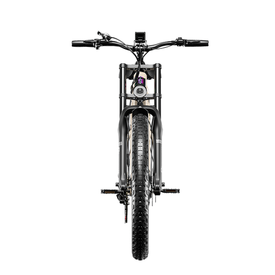Shengmilo S700 Electric Bike