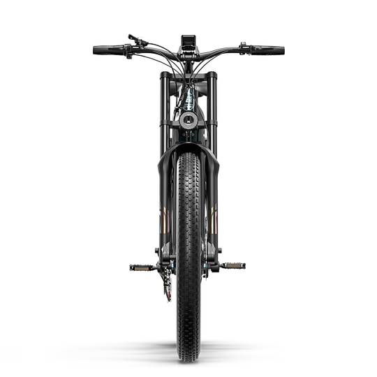 Shengmilo S700 Pro 2000W Dual Motor 48V 25Ah Electric Bike