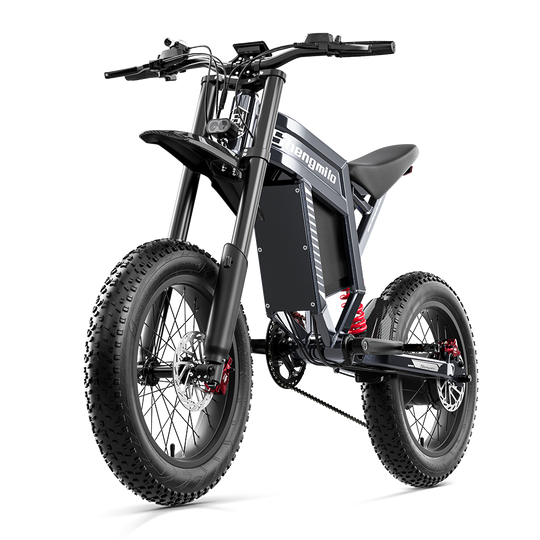 Shengmilo S900 Electric Bike