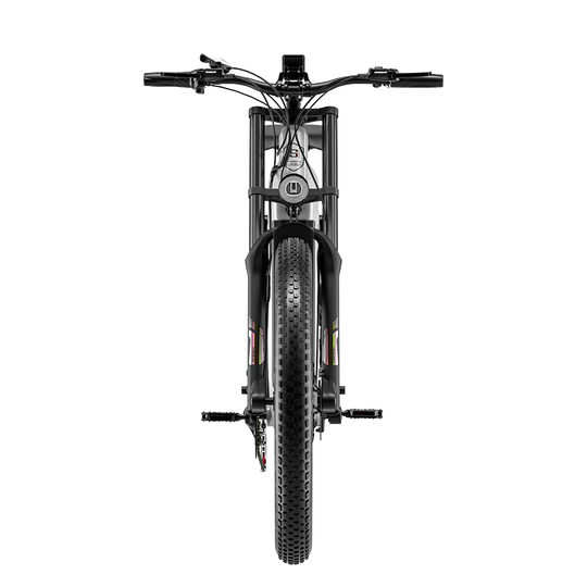 Shengmilo S600PRO 2000W Dual Motor Electric Bike 48V 25Ah Battery