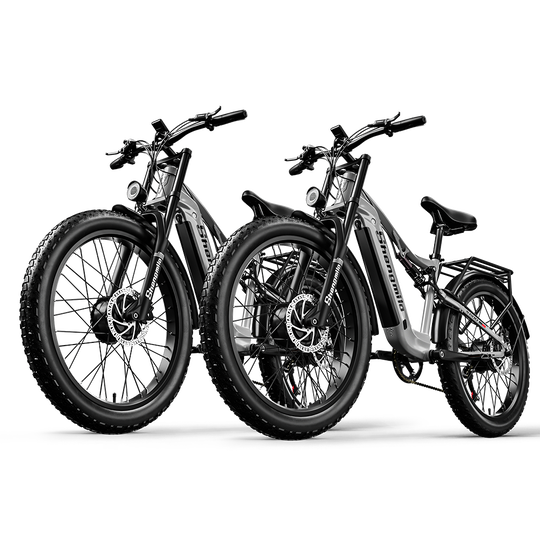 Shengmilo S600 Dual Motor Electric Bike