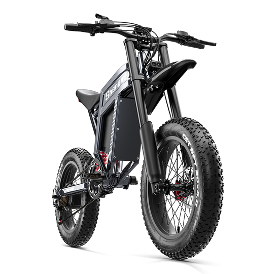 Shengmilo S900 Electric Bike
