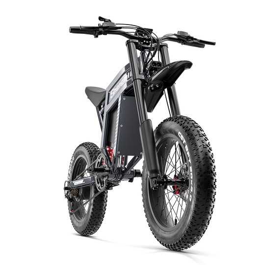 Shengmilo S900 Electric Bike