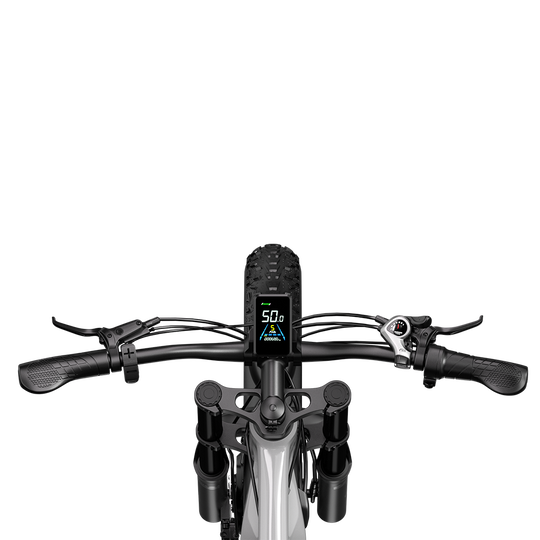 Shengmilo S600 Dual Motor Electric Bike