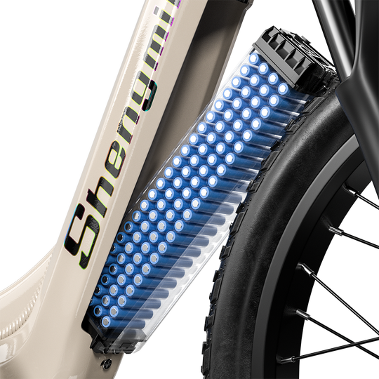 Shengmilo S700 Electric Bike