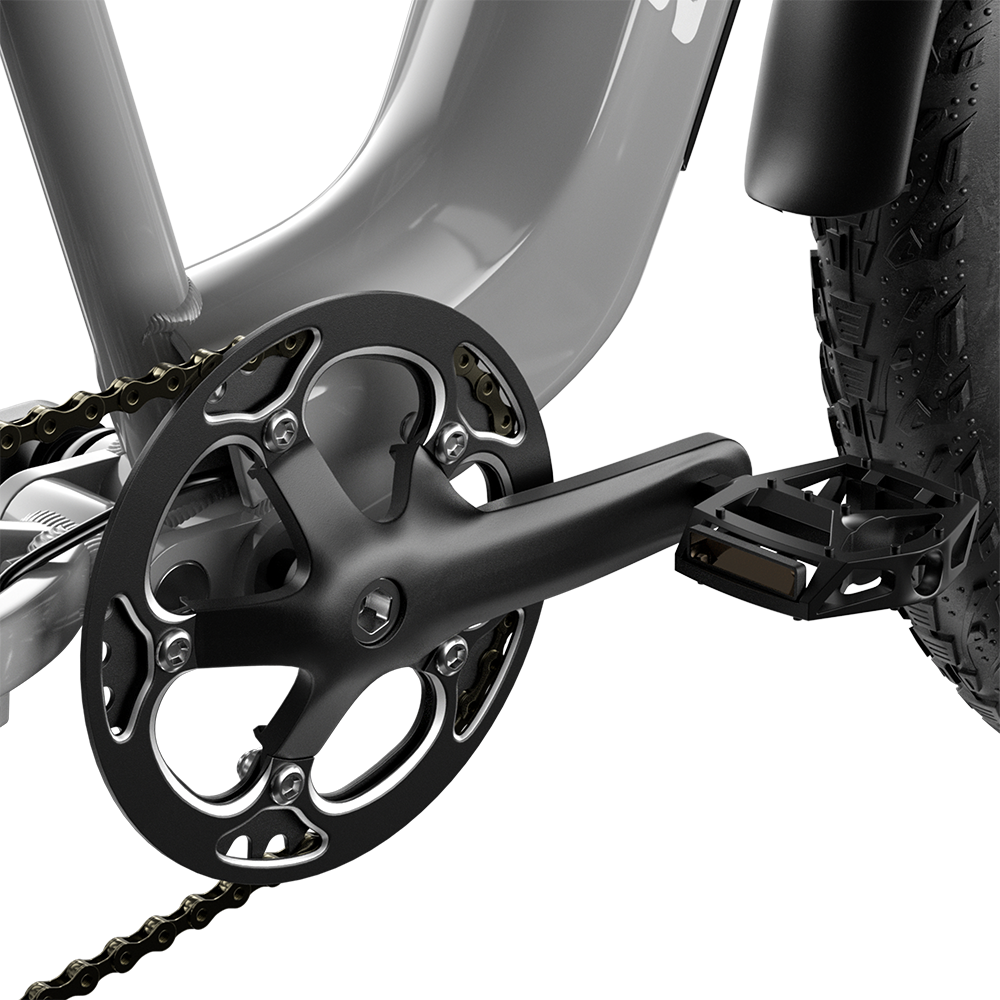 Shengmilo S600 Dual Motor Electric Bike