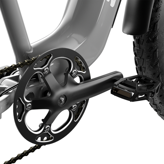 Shengmilo S600 Dual Motor Electric Bike