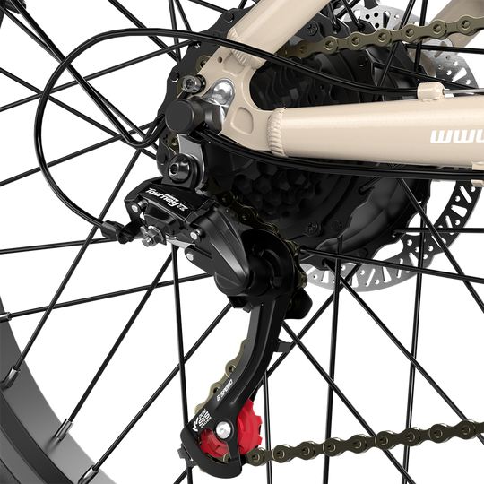 Shengmilo S700 Electric Bike