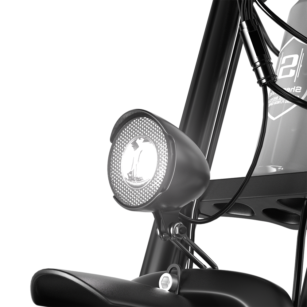 Shengmilo S600 Dual Motor Electric Bike