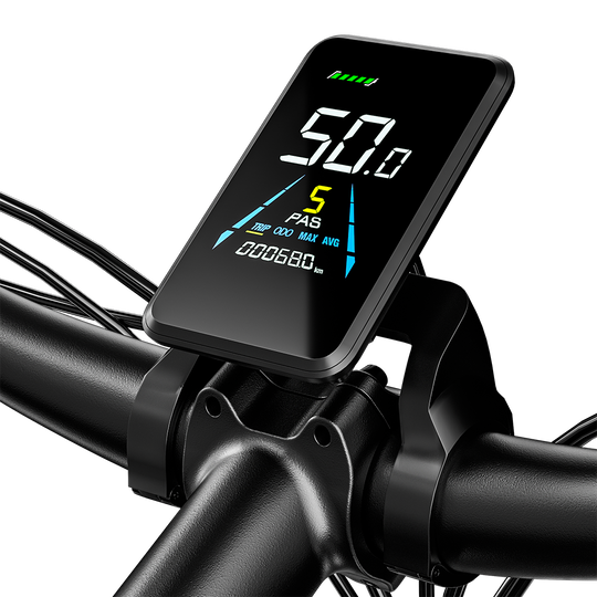 Shengmilo S600 Dual Motor Electric Bike