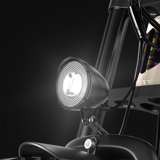 Shengmilo S700 Electric Bike