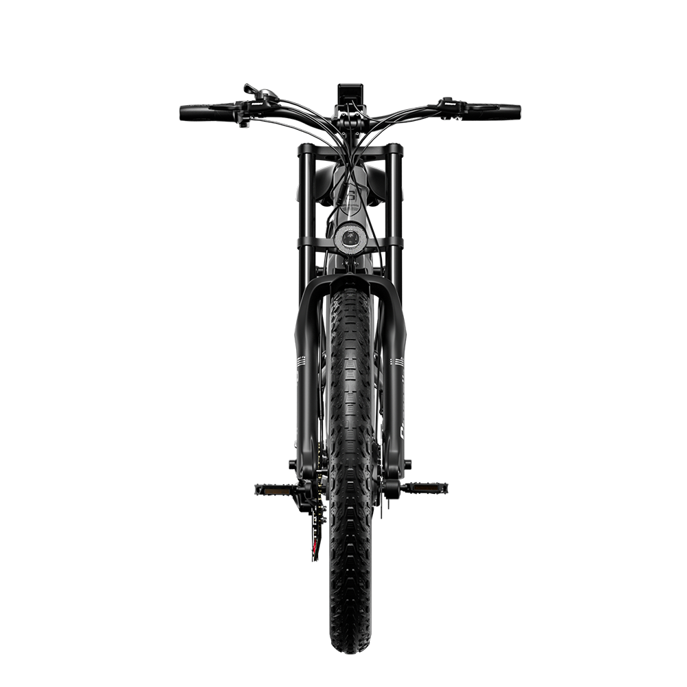 Shengmilo S600 Dual Motor Electric Bike