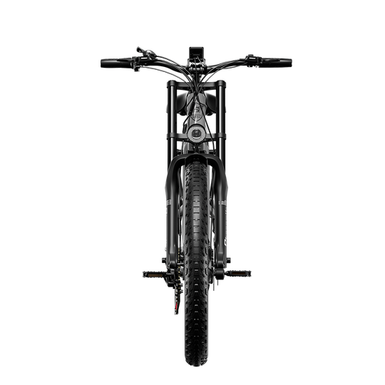 Shengmilo S600 Dual Motor Electric Bike