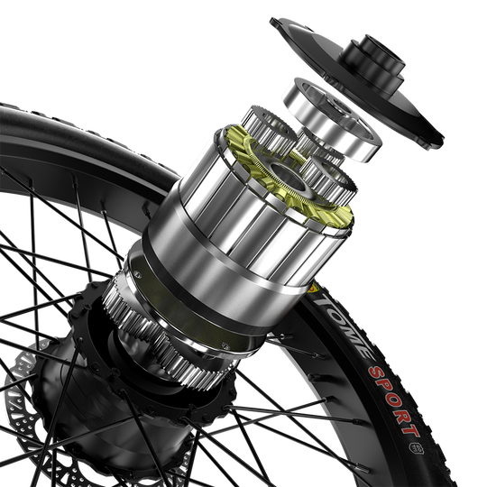 Shengmilo S600 Dual Motor Electric Bike