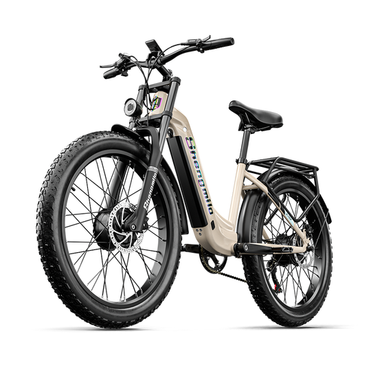 Shengmilo S700 Electric Bike