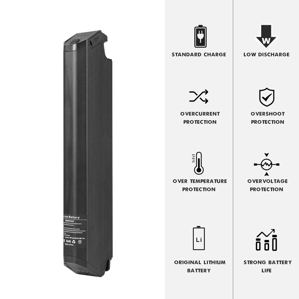 Batterie au lithium Shengmilo MX03 48V 17AH