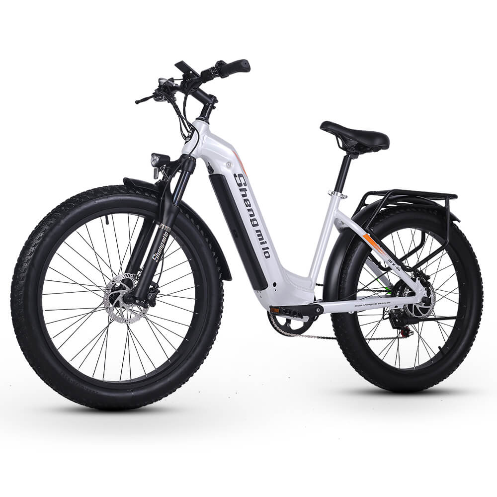 48v sales e bike
