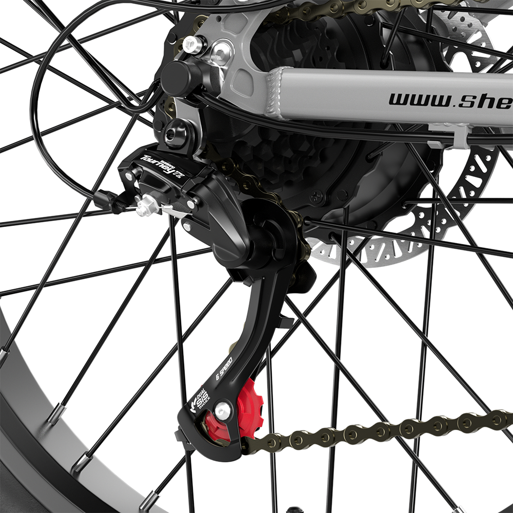 Shengmilo S600 Dual Motor Electric Bike