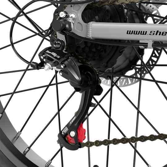 Shengmilo S600 Dual Motor Electric Bike