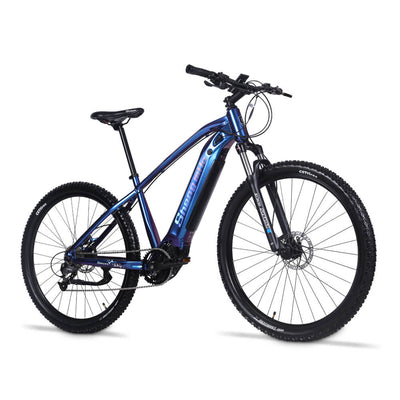 250W Mid-Drive Motor Ebike