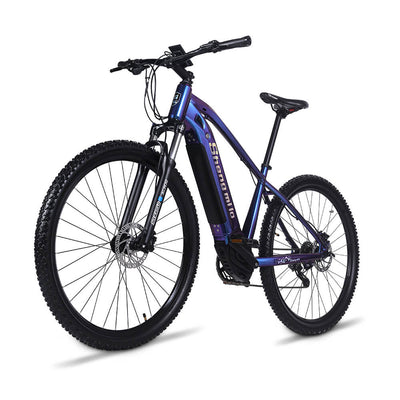 SML100 250W Electric Bicycle