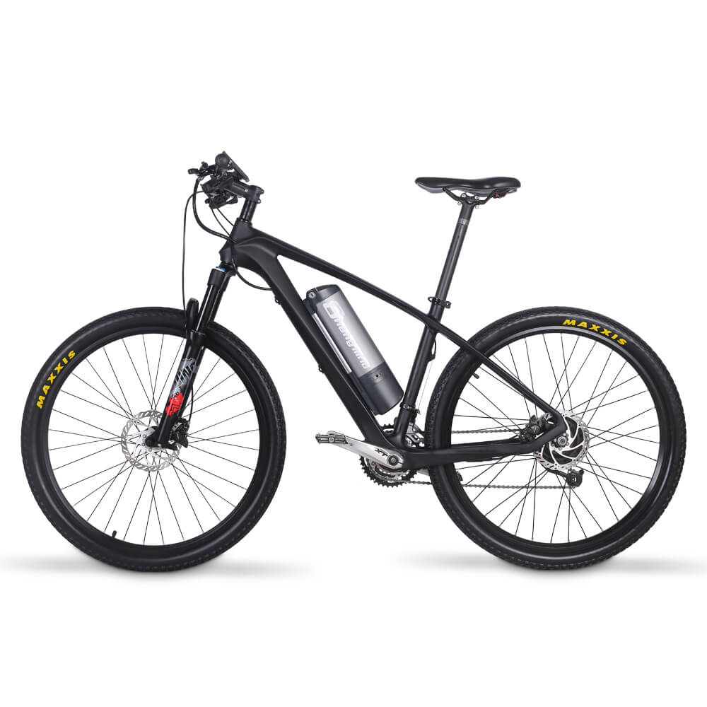 250W motor, 36V9.6 AH Battery, Dual Oil Brake Disc Brake