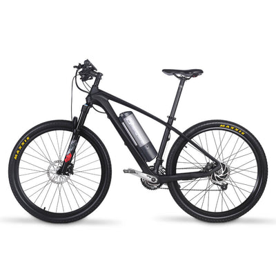 250W motor, 36V9.6 AH Battery, Dual Oil Brake Disc Brake